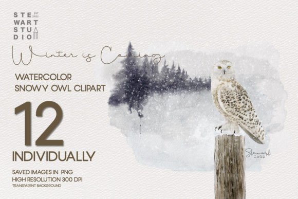 Download Watercolor Snowy Owls Clipart - Snowy owl Collection