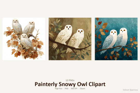 Download Painterly Snowy Owl Clipart - Snowy owl Collection
