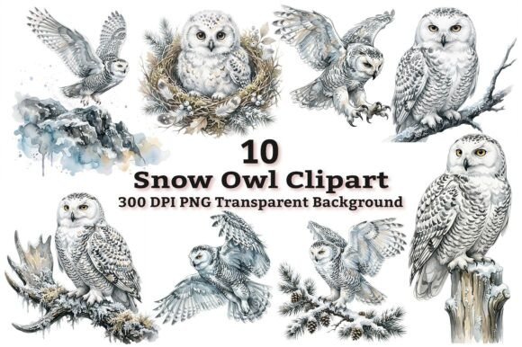 Download Majestic Snowy Owl Clipart Bundle PNG - Snowy owl Collection